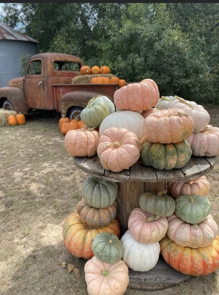 Cinderella Pumpkin Patch Wooly Owl Fibers