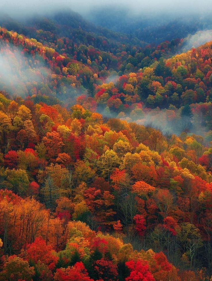 Leaves Are Changing Mohair Wooly Owl Fibers
