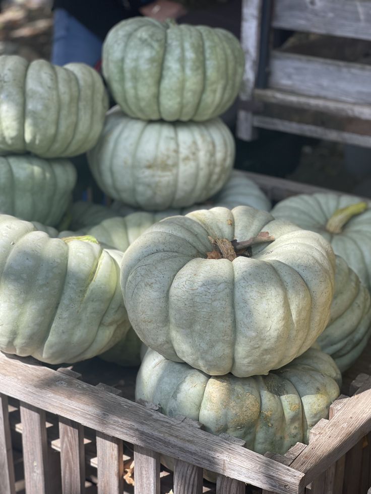 Sage Pumpkin Mohair Wooly Owl Fibers