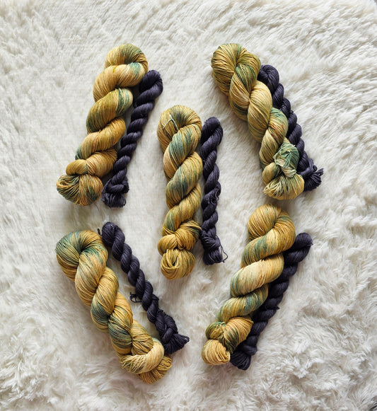 Paris For Fashion Week ā Devil Wears Prada Sock Kit