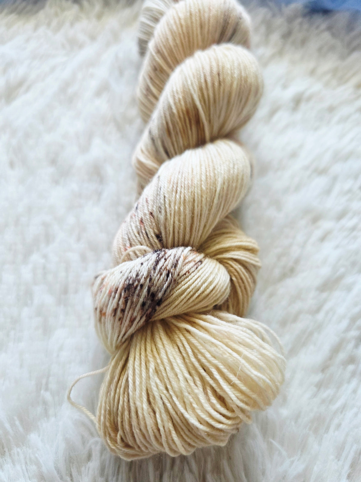 Apple Cider Donut BFL Sock Yarn Wooly Owl Fibers