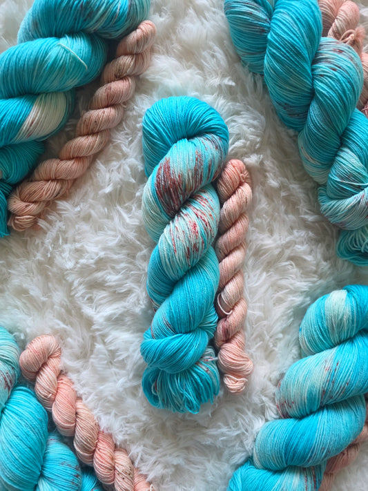 Salmon Says Sock Kit