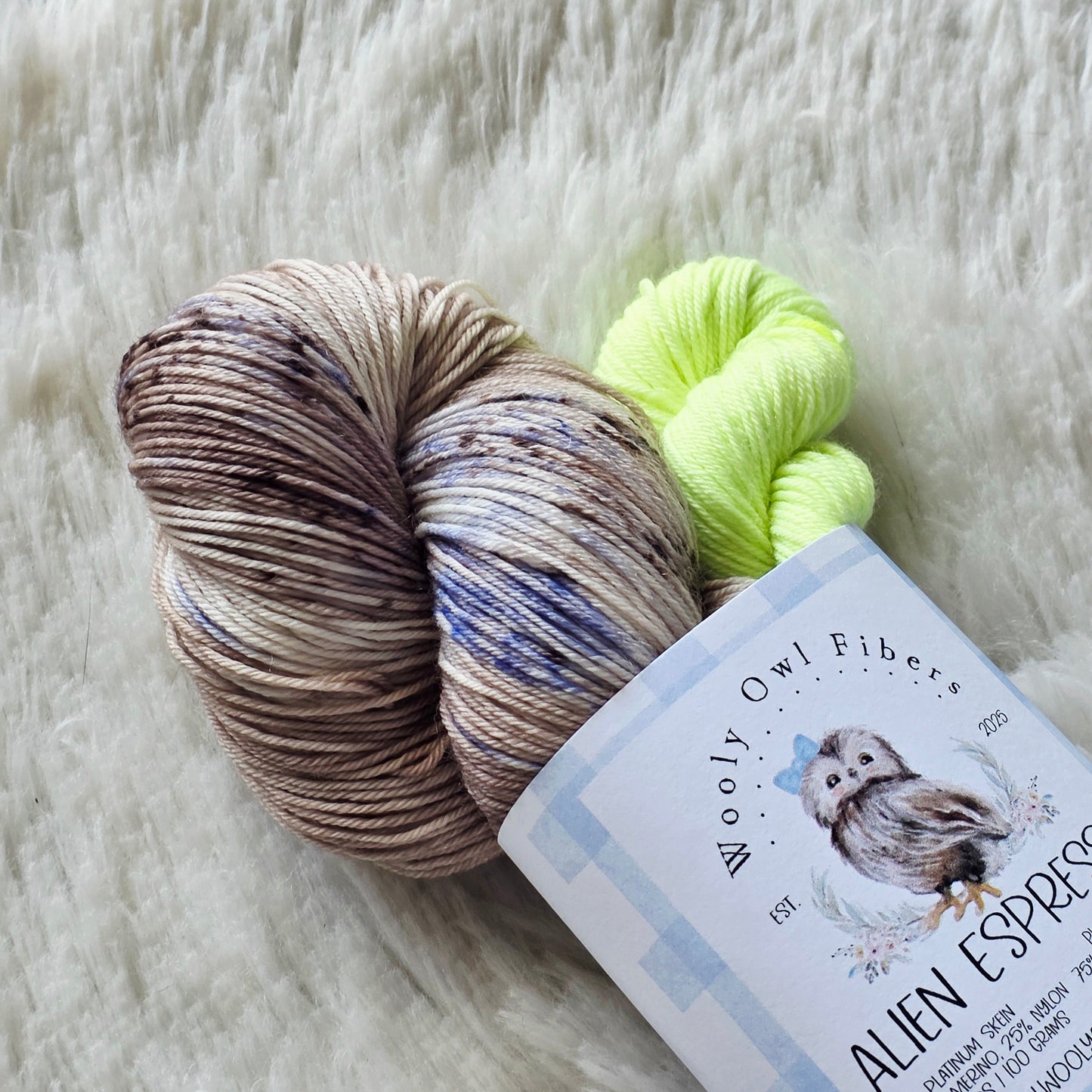 Alien Espresso Sock Kit Wooly Owl Fibers