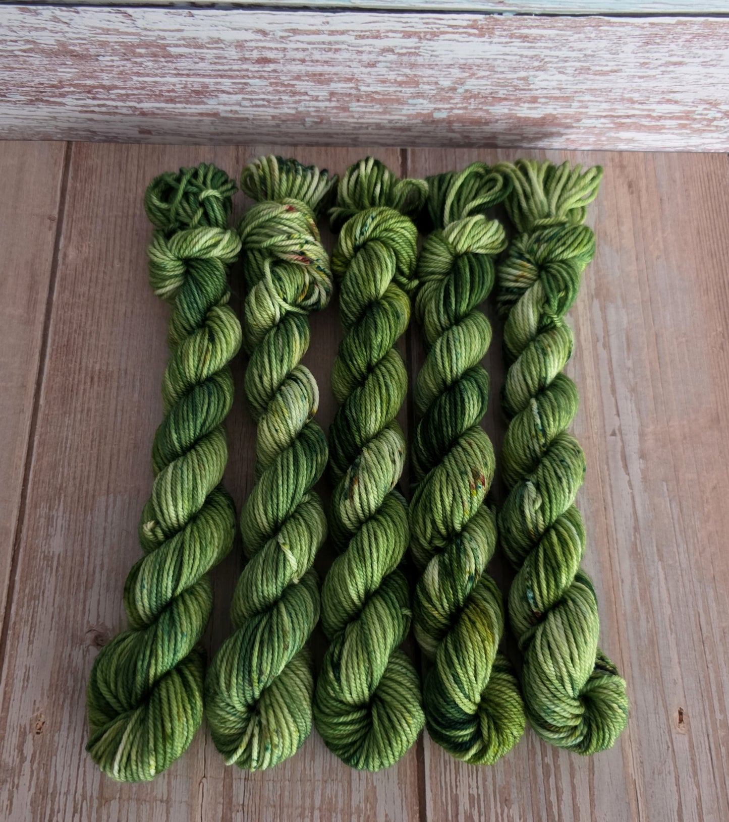 Forest Floor Mini Skein