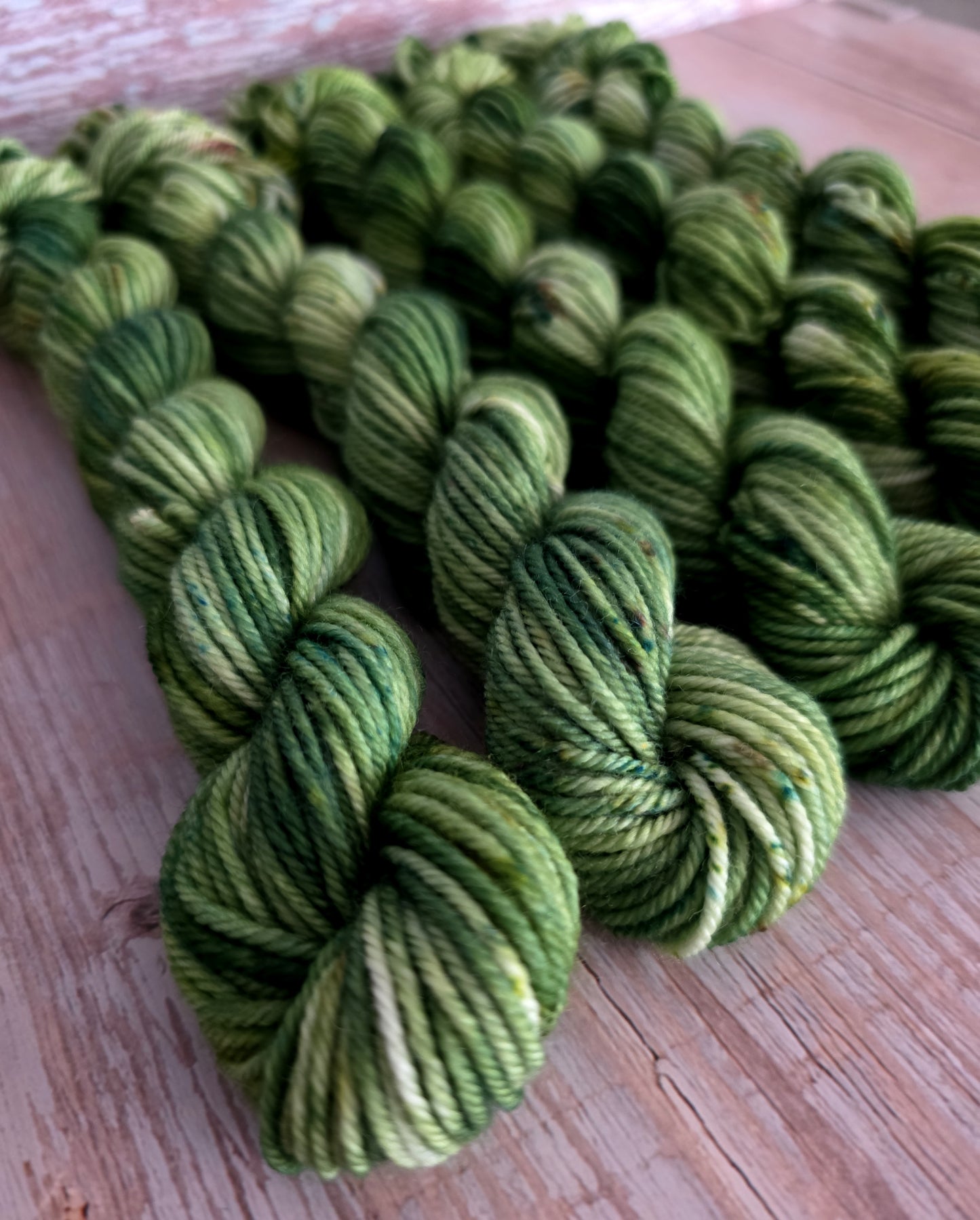Forest Floor Mini Skein