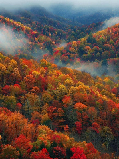 Leaves Are Changing Mohair Wooly Owl Fibers