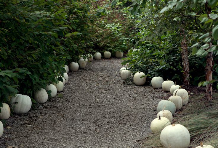 Ghost Pumpkins Wooly Owl Fibers