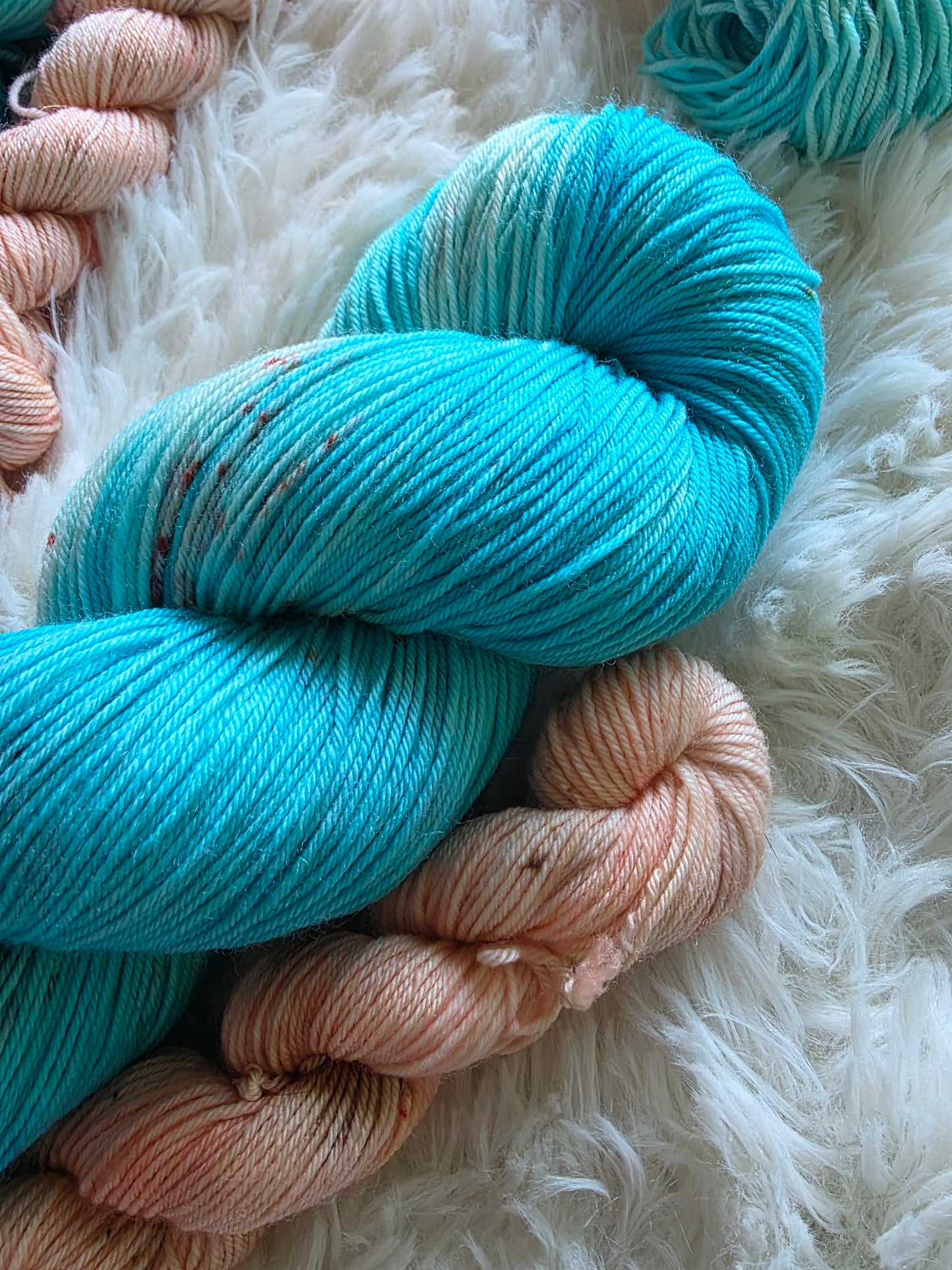 Salmon Says Sock Kit