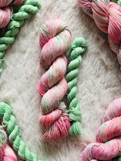 The Watermelon Stand Sock Kit Wooly Owl Fibers