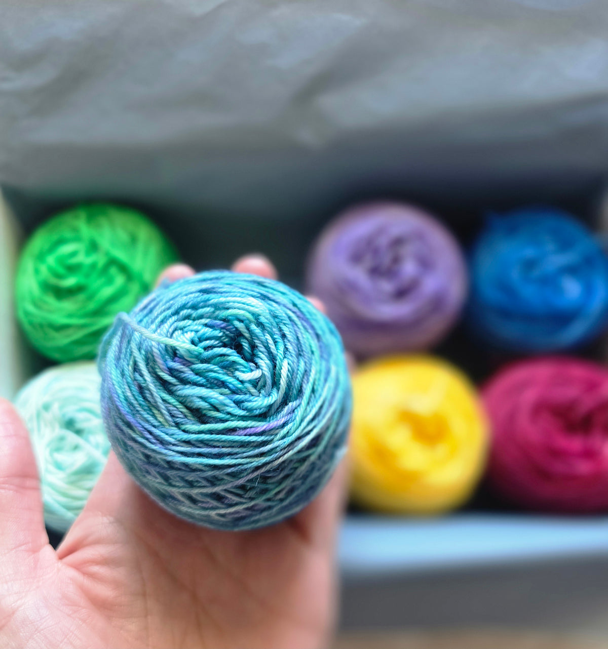 🧁 The Cupcake Mini Club 🧁 Sock Weight Wooly Owl Fibers