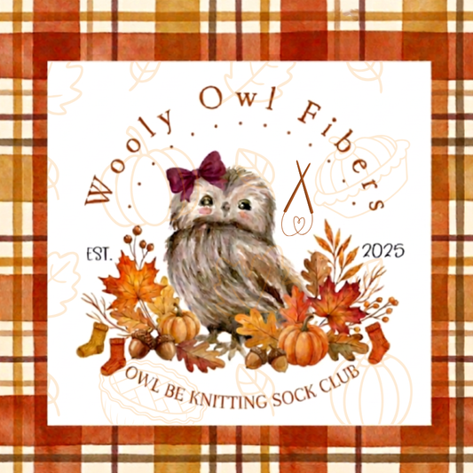 Owl Be Knitting Sock Club Pre-Order - NOVEMBER BOX Wooly Owl Fibers