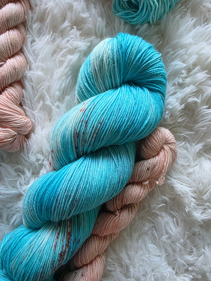 Salmon Says Sock Kit