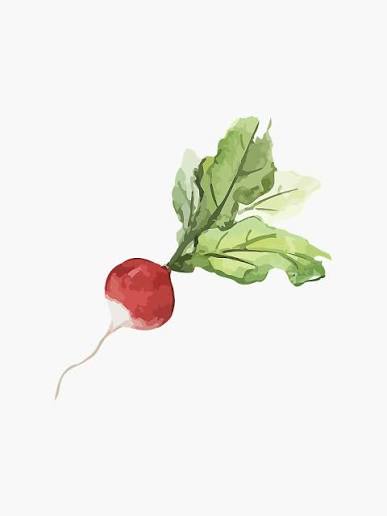 The Radish Patch