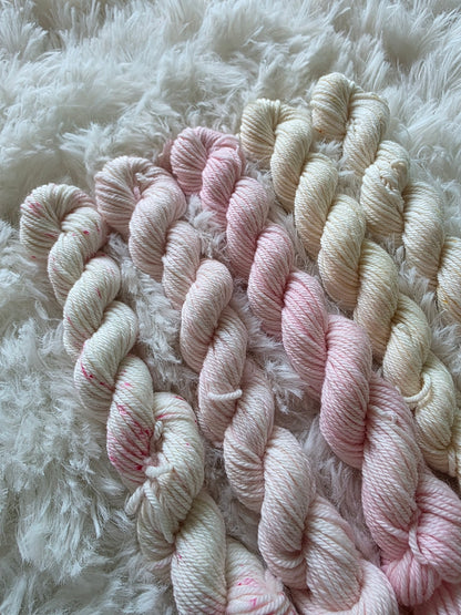 Ballet Mini Skein Bundle DK