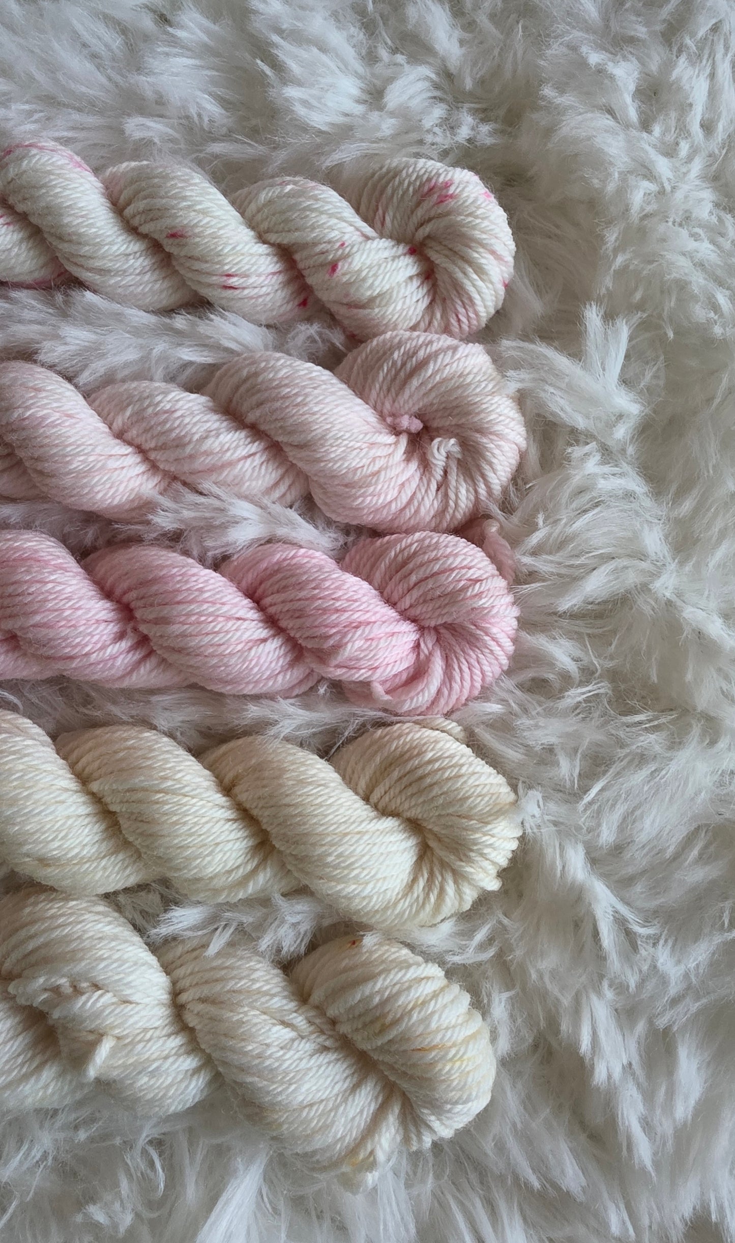 Ballet Mini Skein Bundle DK