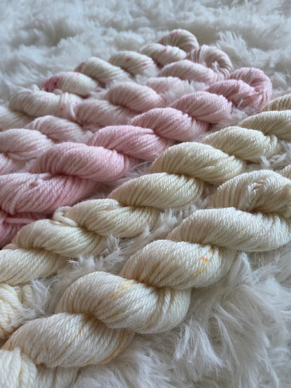 Ballet Mini Skein Bundle DK