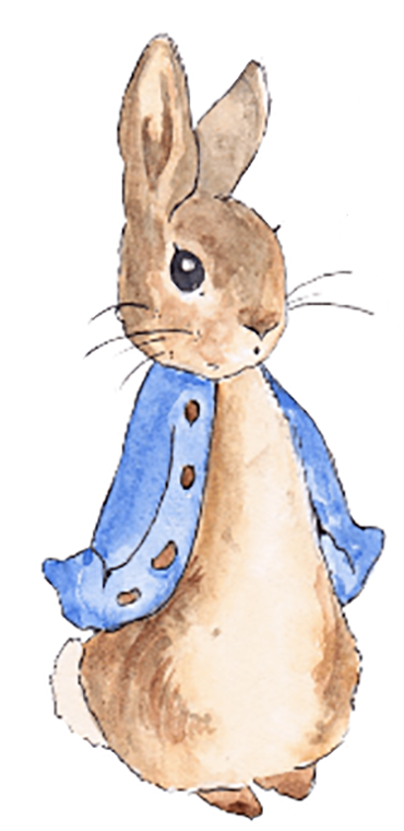 Peter's Blue Jacket Sock Kit